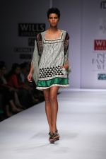 Tinu Verghese at the Wills Fashion Week on 12th Oct 2011 (2).JPG